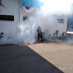 Fogging, Cara Tepat Membasmi Nyamuk