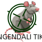 Jasa Pembasmi Tikus Profesional