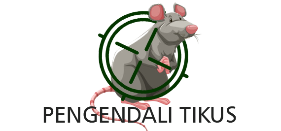 Jasa Pembasmi Tikus Profesional