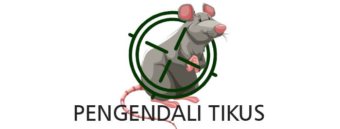 TIKUS
