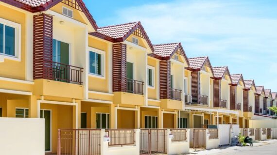 Cara Tepat Menangani Hama Pada Bisnis Properti