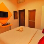 Solusi Tepat Penanganan Hama